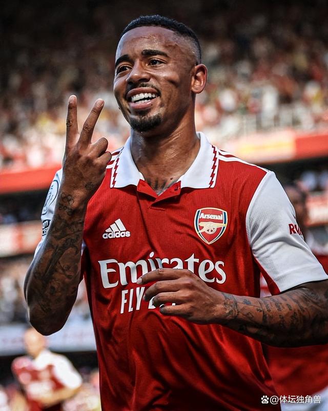 开云APP法甲冲刺阶段走向成谜，阿森纳豪取连胜，话题不断，医务组通报恢复的简单介绍